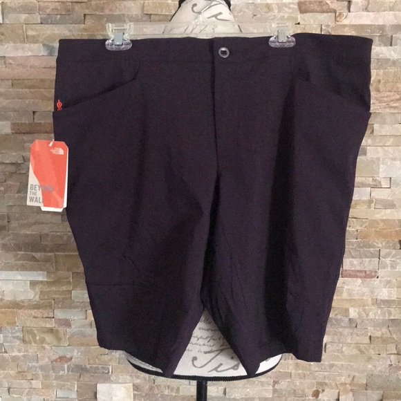 north face beyond the wall shorts